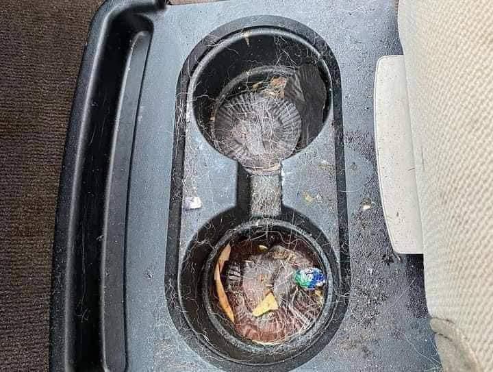 Interior care